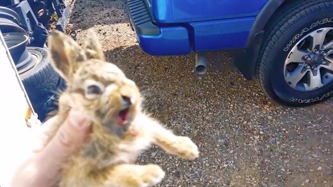 动漫樱花里番 我还没有学会回答这个问题