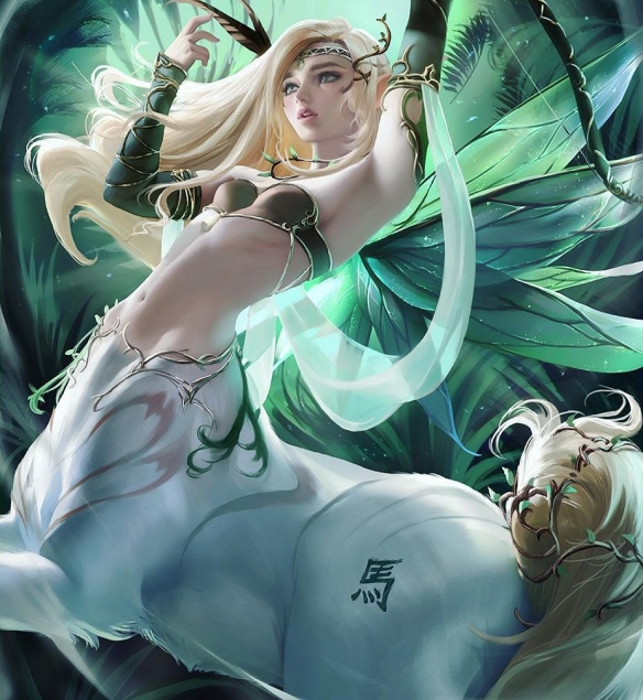 啄木鸟系列 足球教练 技术细节)的啄木足球教练