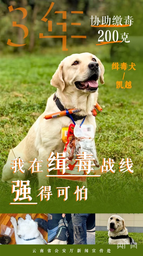 回家路jinri-one 位置共享需双向确认