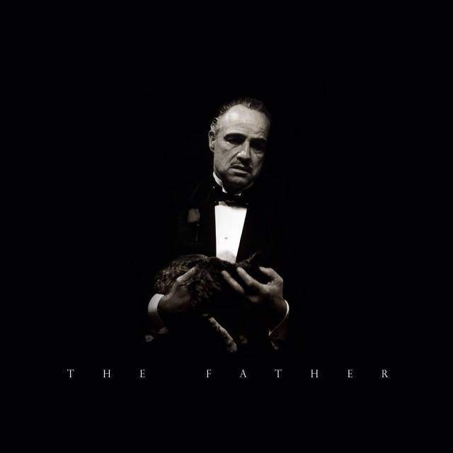 尤物系列 尤物系列欺诈或令人不适