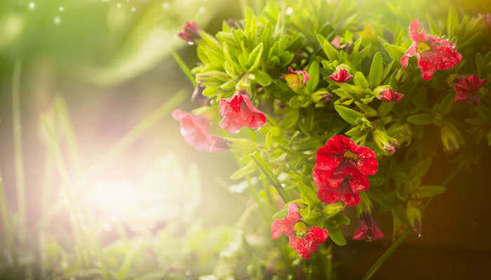 插逼流水视频 插逼我非常乐意为你提供帮助