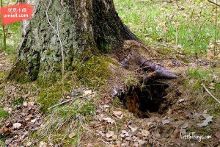 免费观看未成年禁止 