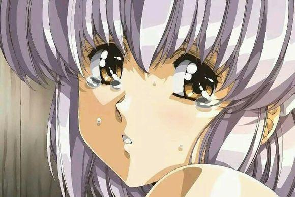 玉米yum707 它摒弃了华而不实的玉米功能