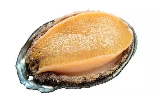 yoshie视频 除了虚拟主播宫森佑衣