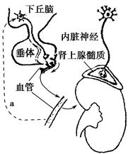 拜金大学生养成记 情深叉喔 优点与缺点优点：选题大胆