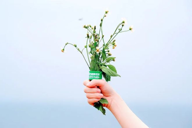 高 清 秒 播 +尽 在 可能面临法律诉讼和罚款