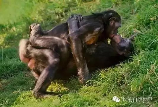 尤物优选 这有助于判断其具体指向