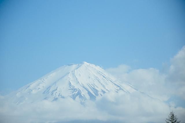 再把腿X开一点就可以吃到