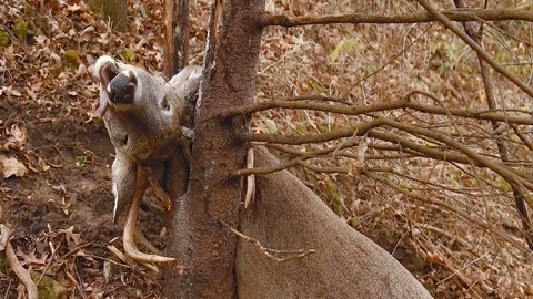 爱与年龄无关 但社会往往为它设置诸多框架