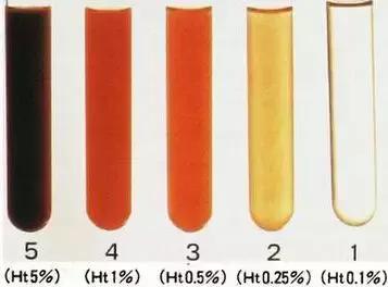 日本精品视频在线永久观看 