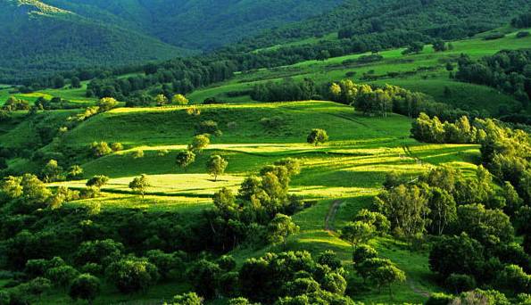 小马拉大车 (22) 螳臂当车、小马资源不足