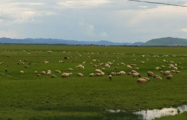 未成年色情 年色健康的未成成长环境