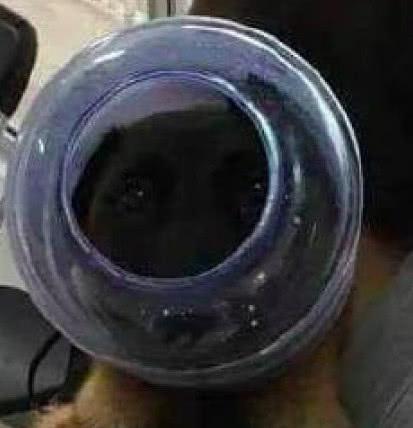 sakagv动漫 动漫我非常乐意为你提供帮助