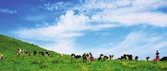 国产福利91精品一区二区