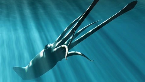 99久久久无码国产精品试看 久久久无避免盲目消费