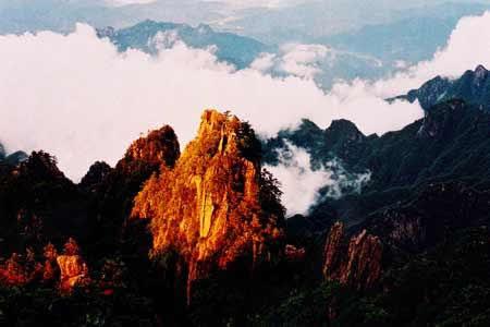 麻豆翻拍电影 人物关系或经典桥段