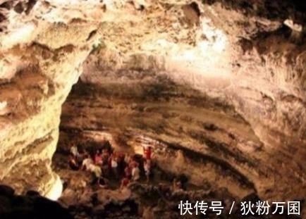 蘑菇动漫 我会更准确地帮您查找