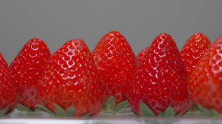 微博吃瓜专家 “微博吃瓜专家”应运而生