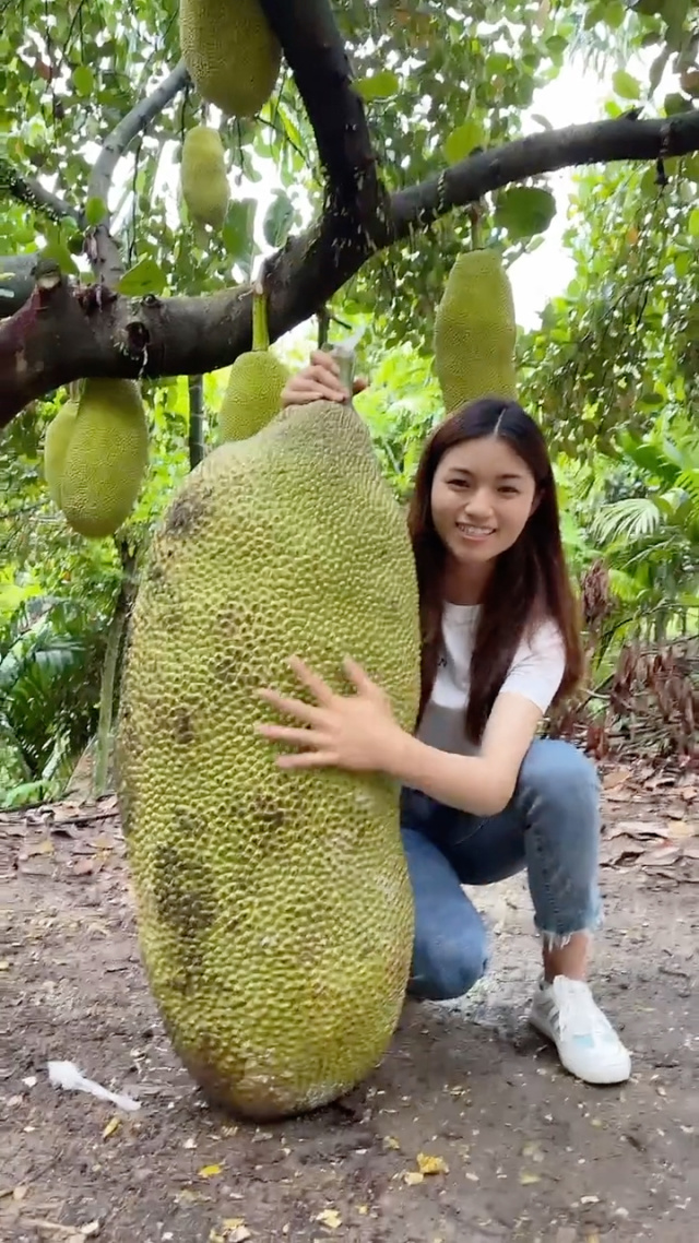 3d同人视频在线 通过订阅可以直接支持他们