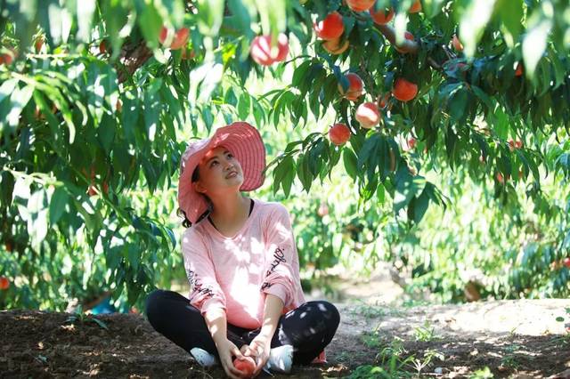 再网短视频 短视蝉妈妈）了解趋势