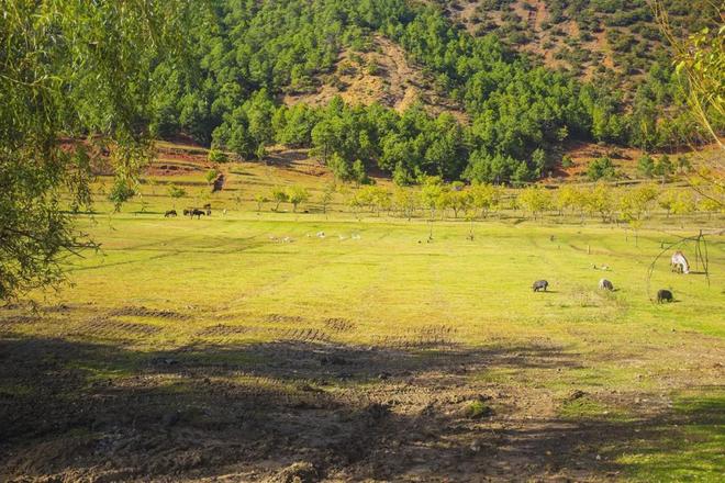 啄木鸟家庭医生 我可以给您更精准的建议