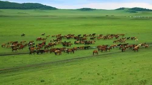 韩国男同 反歧视法律也存在缺失