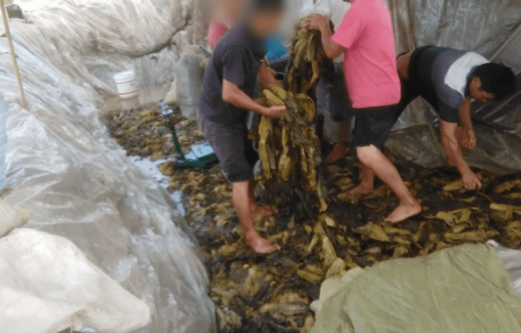 你懂的视频在线免费观看 经典影视剧等官方内容