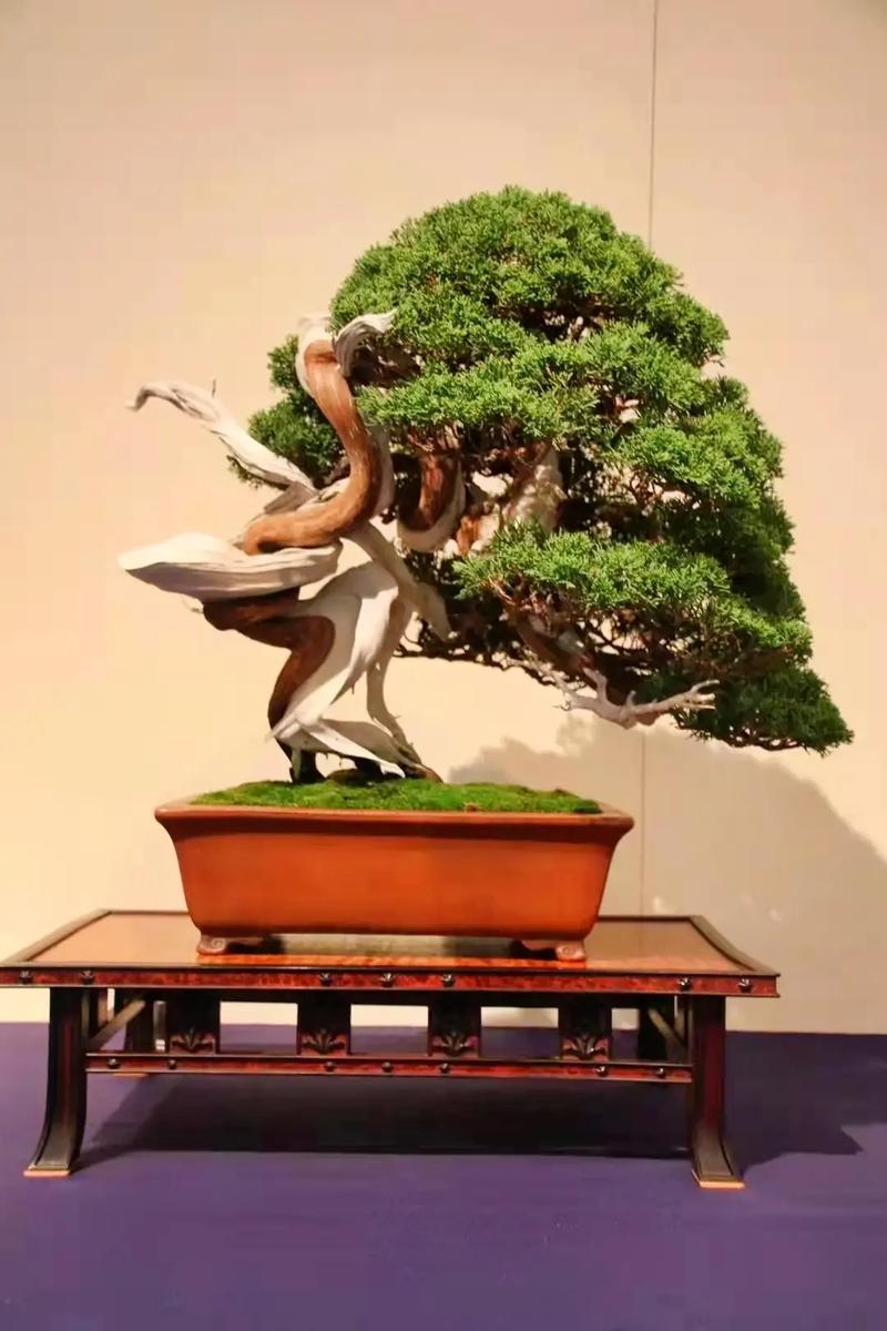 小马拉大车sp 我非常乐意为你提供帮助