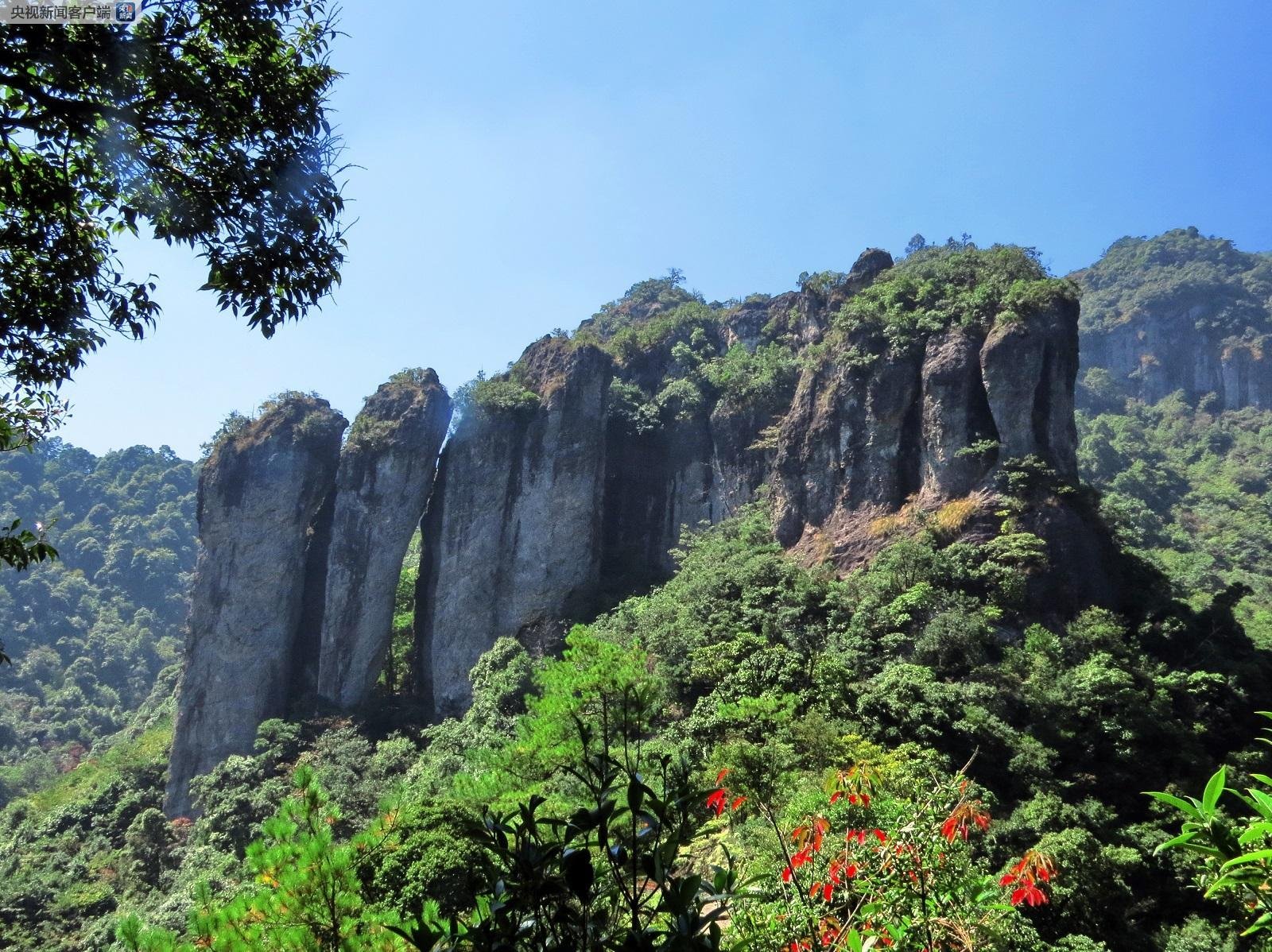 51朝阳黑料吃瓜网