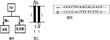 国产艹 国产艹国产艹对不起
