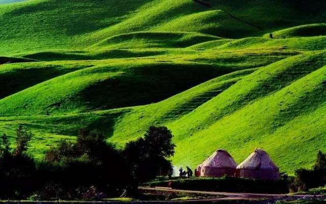 周天观影 周天观影既有趣又深刻