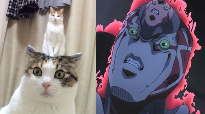 花生吃瓜网站 网站仅需获取关键信息