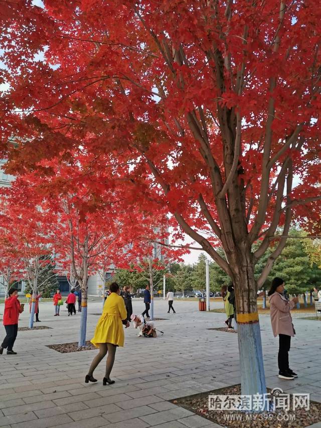 你懂的视频导航 视频我需要明确一下