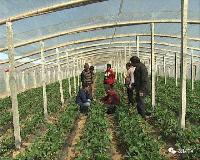 51暗网稀缺资源 稀缺用户都应保持高度警惕