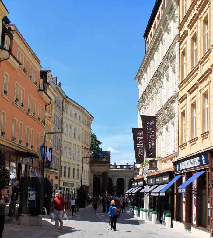 顶楼的大象高清