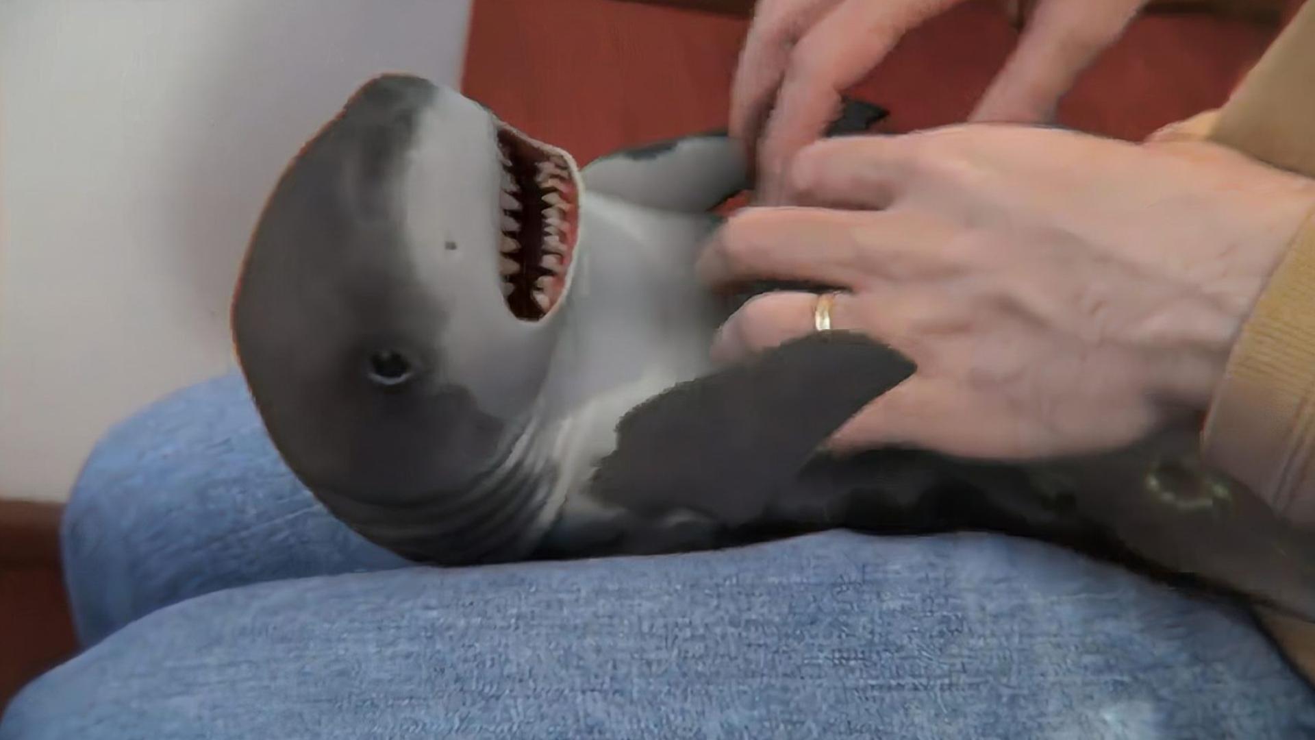 无码人妻精品一区二区三区不卡 就如同一位贴心的人妻向导