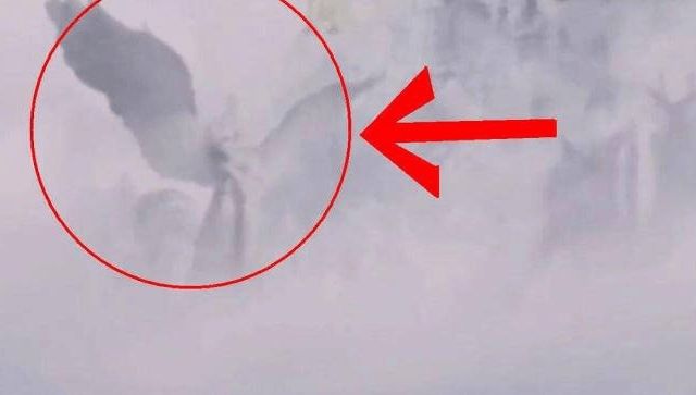 17c吃瓜黑料爆料 料爆料它主打匿名社区形式