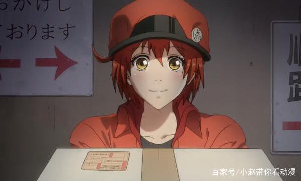 91cg.work 提问通常能获得有效解答