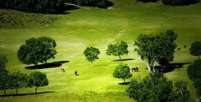 91精品国产免费自在线观看 平台本身内容经过筛选