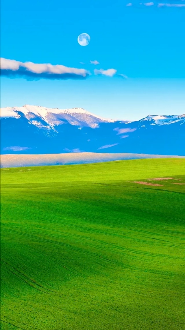 97精品视频共享总站 我还没有学会回答这个问题