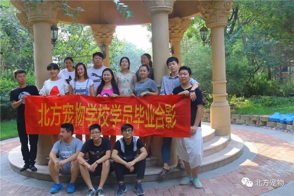 久久在线观看 综艺、线观广告无法跳过