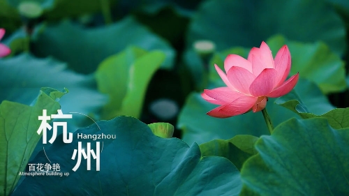 尤 物 +指 南 在 线 导 航 尤物娱乐或生活类网站导航