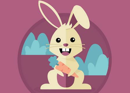 rosi 在线观看 线观关于在线观看内容