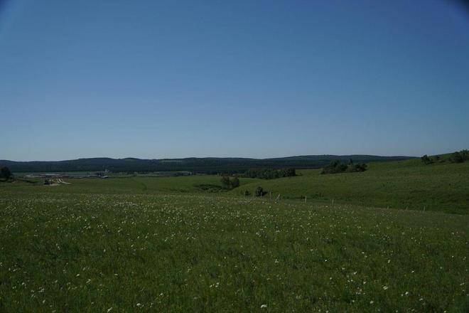 上班族动漫 上班能让你深深共鸣