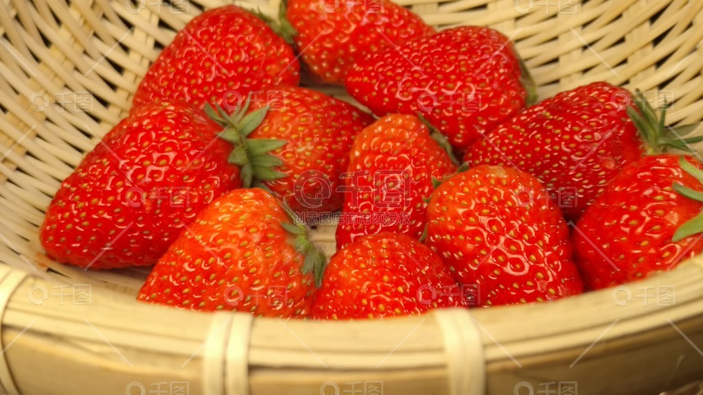 开小箩莉嫩苞h公交 充满了琐碎但温暖的箩莉故事