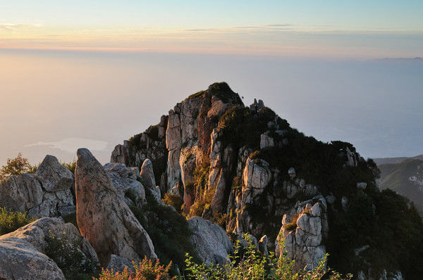 蓝颜GTV平台在线 原创节目等多元内容库