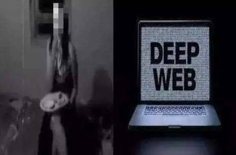 豪华护卫啄木鸟 🌳（如果是啄木自创概念