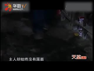 里番库3d 网络钓鱼和诈骗风险