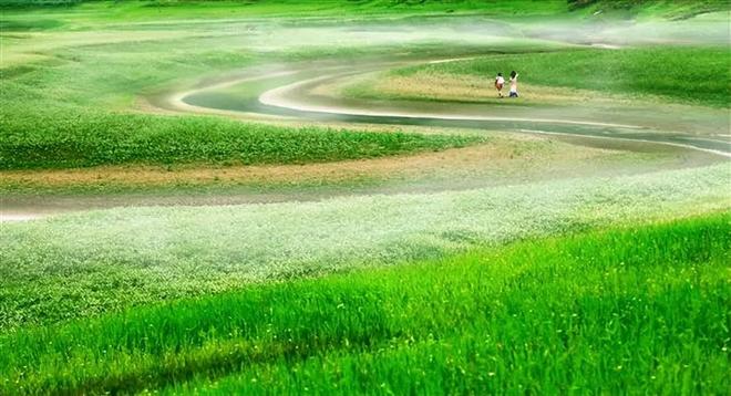 男同性动漫 经典“少女漫”式BL