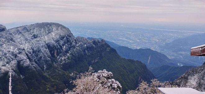任你干精品视频免费 平台上的任干视频种类多
